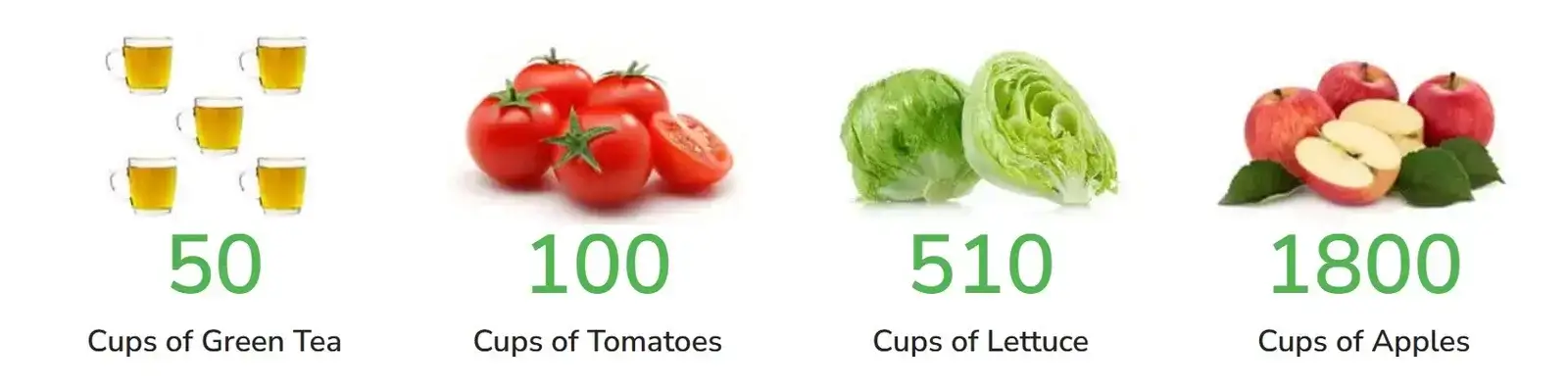 Fountain of life Lignan's concentration compared to 50cups of grren tea,100 cups of tomatoes,510 cups of lettuce,1800 cups of apples